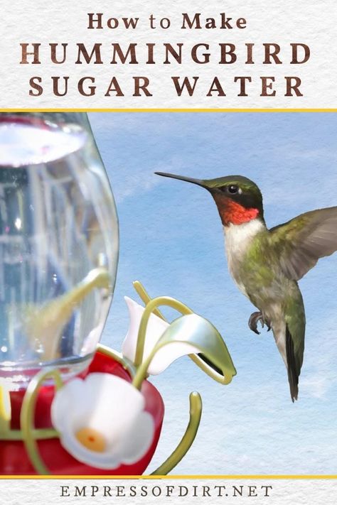 Hummingbird Food Recipe Small Batch, Hummingbird Food Recipe No Boil, Hummingbird Mixture, Hummingbird Sugar Water, Hummingbird Recipe, Hummingbird Mix, Sugar Water For Hummingbirds, Hummingbird Food Recipe, Make Hummingbird Food