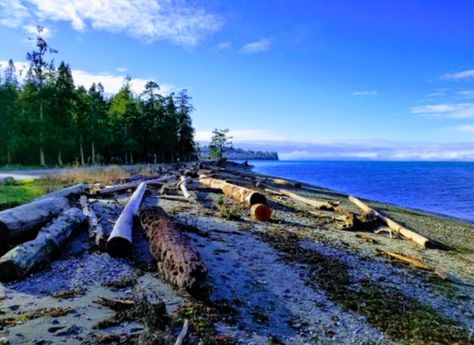 Birch Bay Washington, Washington State Parks, Bay Breeze, Quiet Beach, Cascade Mountains, Camping Area, Birch Trees, Cabin Fever, Beach Walk