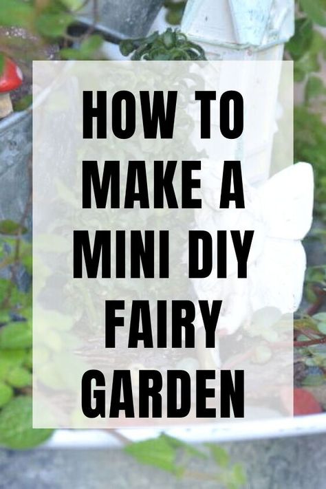 DIY Mini Fairy Garden Fairy Garden Balcony, Diy Fairy House Ideas Homemade, Outdoor Fairy Garden Diy, Miniature Gardens Design Ideas, Diy Mini Fairy, Small Fairy Garden, Miniature Fairy Garden Diy, Miniature Garden Design, Make A Fairy Garden