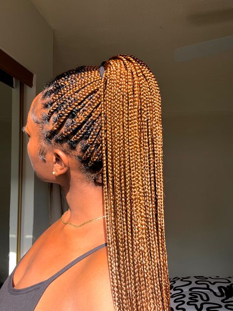 Small Knotless Box Braids Long Color 30, Knotless Box Braids Two Toned, Knotless Light Brown Box Braids, Ginger Brown Knotless Box Braids, Color 27/30 Knotless Braids, Cute Box Braids With Color, Shades Of Brown Knotless Braids, Brown Small Box Braids, Knotless Braids 30 Color