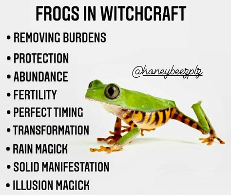 Spirit Animal Meaning, Goddess Magick, Crystal Witch, Witch Board, Nature Witch, Spiritual Animal, Animal Spirit Guides, Animal Medicine, Spiritual Journals