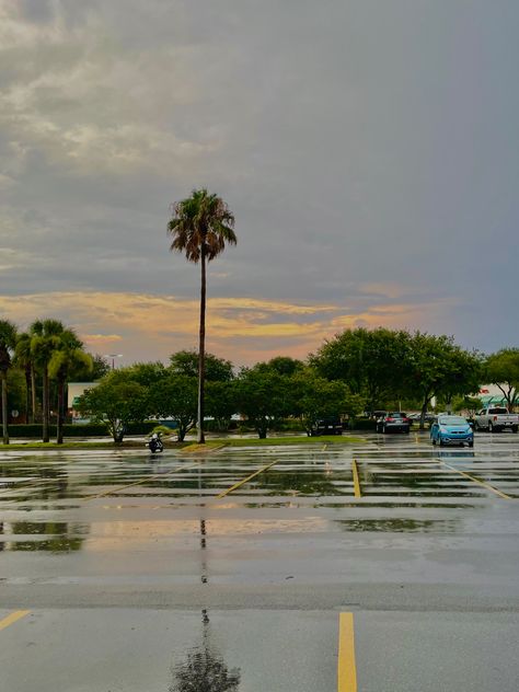 summer, florida, sunset, aesthetic, parking lot, palm trees Rural Florida Aesthetic, Dark Florida Aesthetic, Central Florida Aesthetic, Florida Everglades Aesthetic, Trashy Florida Aesthetic, Florida Gothic Aesthetic, Florida Core Aesthetic, Ponte Vedra Beach Florida, Florida Suburbs