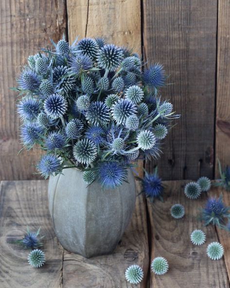 Winter Decor Wedding, Outer Space Flower Arrangements, Blue Winter Flowers, Blue Floral Arrangements Decor, Winter Wonderland Flower Arrangements, Fall Winter Flower Arrangements, Blue Winter Centerpieces, Blue Winter Wedding Flowers, Winter Flower Decorations