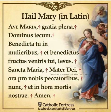 Hail Mary In Latin, Latin Prayers, Universal Prayer, Rosary Prayers Catholic, Catholic Prayers Daily, Catholic Theology, Catholic Doctrine, Catholic Beliefs, Catholic Images