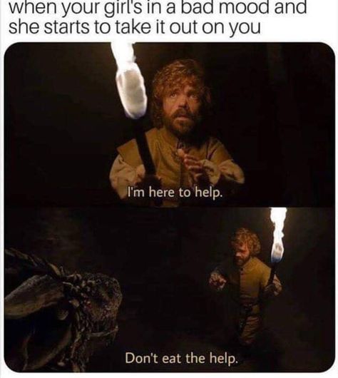 Funny Picture Gallery, Game Of Thrones Meme, Couple Memes, Game Of Thrones Funny, Got Memes, Gra O Tron, Memes Of The Day, Morning Humor, Memes Humor