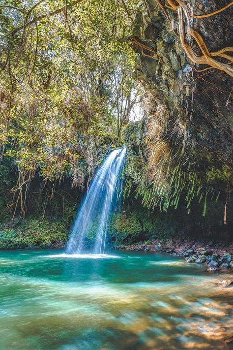 Twin Falls Maui. 6 Easily Accessible Maui Waterfalls -  You Won’t Need To Hike To! The Road to Hana is an enchanting highway that crosses over 50 bridges and passes more than 18 waterfalls across 54 mesmerizing miles.  #maui #mauiwaterfalls #hawaiii #islands #beautifulplaces #travelinspiration Twin Falls Maui, Maui Pictures, Maui Hawaii Vacation, Hawaii Pictures, Trip To Maui, West Maui, Scenic Road Trip, Maui Travel, Road To Hana