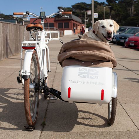 Electric Bike Sidecar | Limited Edition | Bluejay x Mad Dogs & Englishmen – Bluejay Bicycles Bike Sidecar, Rear Bike Basket, Bicycle Sidecar, Bike Baskets, Dog Bike Trailer, Portable Furniture, Bike Technology, Bicycle Baskets, Bike With Basket