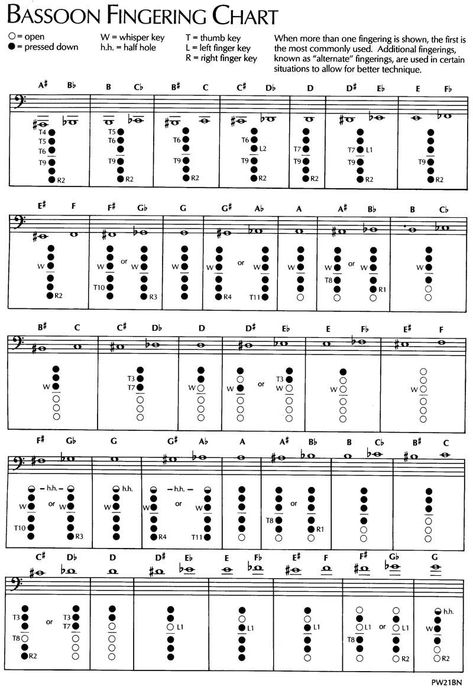 Flute Fingering Chart, Saxophone Fingering Chart, Bassoon Music, Middle School Band, Wooden Musical Instruments, Band Website, Clarinet Music, Band Teacher, Flute Sheet Music