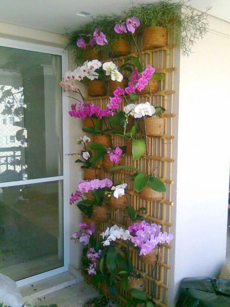 41 Beautiful Vertical Flower Garden Pictures | Balcony Garden Web Orchid Walls, Orchid Decor, Diy Orchids, Flower Garden Pictures, Orchid Wall, Indoor Orchids, Orchid Plant Care, Orchid House, Garden Wall Designs