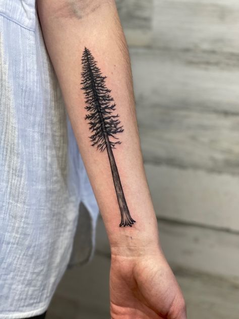 Coast Redwood Tattoo, Redwood Tattoo California, Redwood Tree Tattoos, Coastal Redwood Tattoo, Red Wood Tattoo, Minimalist Redwood Tree Tattoo, California Redwood Tattoo, Redwood Tree Tattoo California, Redwood Forest Tattoo