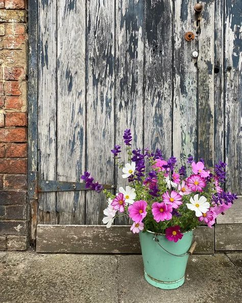 How to grow cosmos: expert tips on when and where to plant | Growing Cosmos, One Mistake, Eco Friendly Garden, Herbaceous Border, Garden On A Hill, Cosmos Flowers, English Cottage Garden, Wildlife Gardening, Brown Flowers