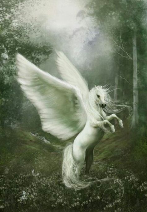 Pegasus of the enchanted forest Pegasus Art, Pegasus Unicorn, Magical Horses, Fantasy Horses, Winged Horse, Unicorn Art, Mystical Creatures, Magical Creatures, Fantasy World