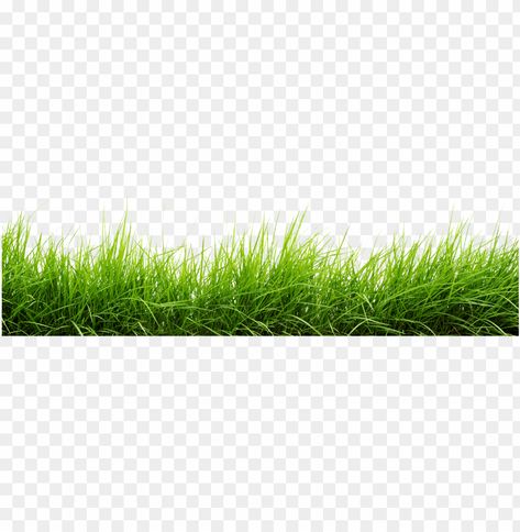 Grass Png For Editing, Grass Png Hd, Badal Png, Rumput Png, Grass Images, Grass Photoshop, Wall Png, Png Files Free, Png Pic