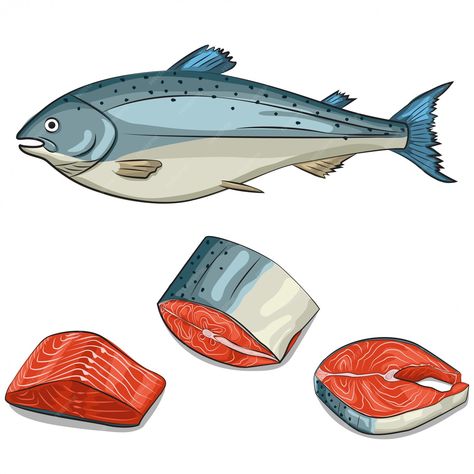 Premium Vector | Salmon fish, steak, fillet and slice set. cartoon hand draw illustration isolated . seafood icons. Fish Food Illustration, Salmon Fish Drawing, Fish Food Drawing, Salmon Cartoon, Salmon Illustration, Salmon Drawing, Chum Salmon, Fish Steak, Fish Illustrations