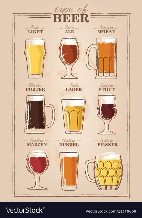 Beer Styles Chart, Beer Ingredients Illustration, Beer Glass Illustration, Beer Presentation, Brewpub Design, Pub Cocktails, Beer Infographic, Beer Tattoo, Lip Health