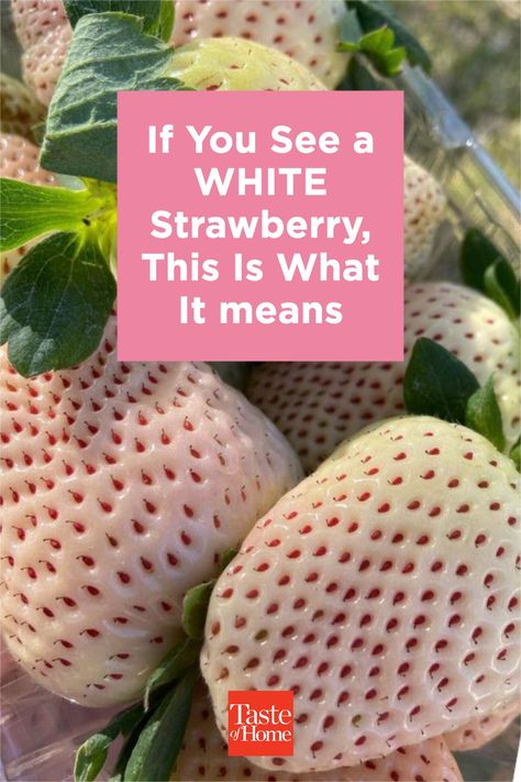 It’s a special type of strawberry plant. The fruit has white skin with red seeds, and is usually a bit bigger than its red-colored counterpart. White Strawberries, Types Of Strawberries, Strawberry Plant, Strawberry Color, Strawberry Seed, White Strawberry, Strawberry Plants, White Skin, The Fruit