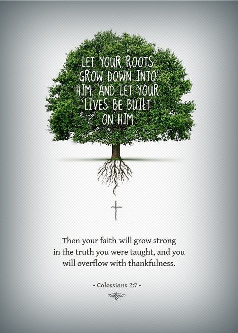 Let your roots grow down into him, and let your lives be built on him. Then your faith will grow strong in the truth you were taught, and you will overflow with thankfulness. -- Colossians 2:7 Tree With Roots, Woord Van God, Colossians 2, Ayat Alkitab, Foto Art, Walk By Faith, Spiritual Inspiration, Christian Life, God Is Good