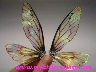 Fairy Wing Tutorials wings made out of something called Angelina Film that you can get at a hobby store. Beautiful! Eiko Ishioka, Polymer Clay Kunst, Dragonfly Wings, Faeries Gardens, ดินปั้น Polymer Clay, Beautiful Fairy, Fairy Crafts, Diy Fairy, Doll Tutorial