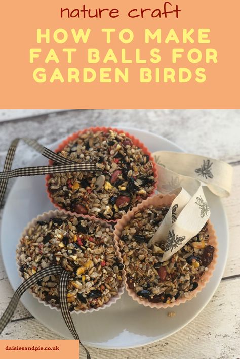 Bird Seed Crafts, Suet Recipe, Nature Crafts For Kids, Backyard Birds Watching, Bird Suet, Make A Bird Feeder, Suet Cakes, Bird Seed Ornaments, Bird Feeder Craft