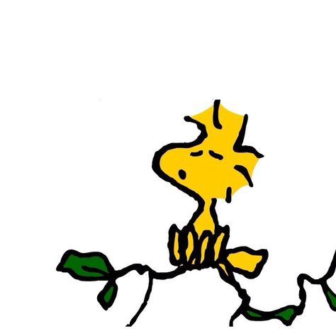 Woodstock Art, Funny Snoopy, Snoopy Und Woodstock, Wallpaper Snoopy, Charles Shultz, Peanuts Wallpaper, Peanut Gallery, Woodstock Snoopy, Woodstock Peanuts