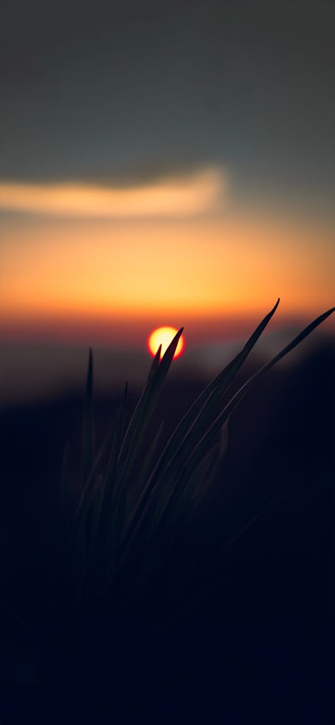 Sun Dawn, Sunset Iphone Wallpaper, Galaxy Wallpapers, Romantic Wallpaper, Phone Background Patterns, Iphone Wallpaper Hd Nature, Car Wallpaper, Dark Phone Wallpapers, Graffiti Wallpaper