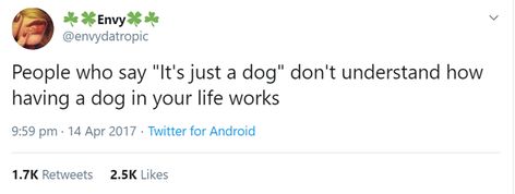 Dog Tweets, Miss My Dog, Funny Thoughts, Relatable Tweets, Life Words, Animal Quotes, Unique Animals, Dog Quotes, I Love Dogs