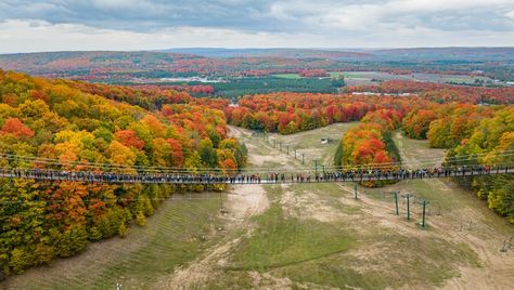 SkyBridge Michigan: Pedestrian bridge at Boyne Mountains opens with picture-perfect fall background Skybridge Michigan, Michigan Background, Boyne Mountain Resort, Boyne Mountain, Canadian Lakes, Long Weekend Trips, How To Walk, Fall Background, Pedestrian Bridge