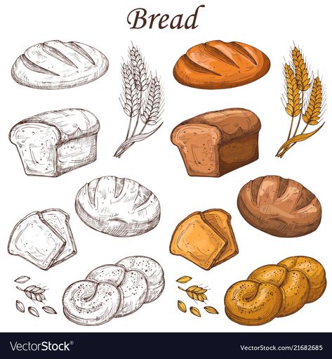 Bakery Elements, Bread Line, Bakery Icon, Ink Sketchbook, Food Logo Design Inspiration, Kid Recipes, Vector Elements, Bread Loaf, Neutral Paint Colors