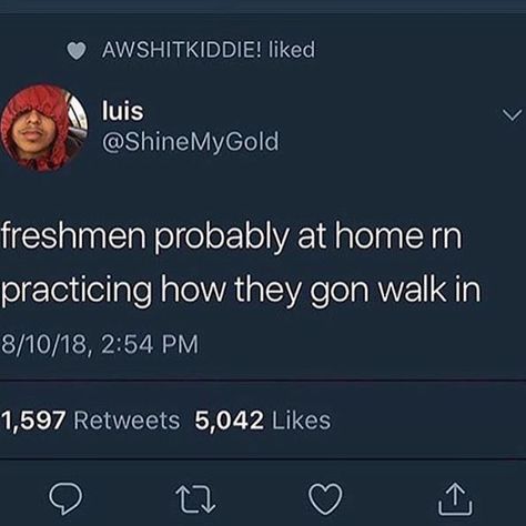 Freshman memes this year💀 Freshman Memes, Freshman Quotes, College Lecture, School Is Killing Me, High School Memes, Kermit Meme, Classroom Memes, Funny Birthday Meme, College Memes