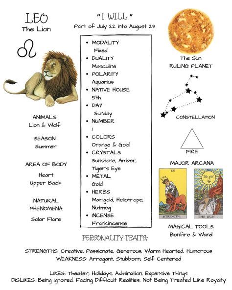 Roarrrrr of the Lion 🦁 hello Leo! ♌️ https://www.etsy.com/shop/TheTravelersJewels #leoseason #leo . …………. #Zodiac #magic #energy #vibes #crystals #bracelets #ttj #tarot #chakras #crystalshop #gems #crystaljewelry #love #healing #minerals #witchesofinstagram #witches #quartz #nature #spiritual #chakra #etsy #astrology