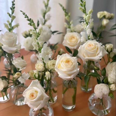 Bud Vase Collections 🥰🌸 #wedding #brideinspiration #2025bride #bridetobe #inspo #centrepieces #weddingday #weddingdress #weddinginspiration #weddinginspo #weddingbouquet #weddingvenue #weddingflowers #bouquet #flowers #bridalbouquet #bride #florist #weddingday #weddingdress #flowerbouquet #weddingideas#weddingdecor #love #flowers #destinationwedding #flowerarrangement . . . #reels #daily #explore #explorepage Setup Ideas, Bride Inspiration, Wedding Vases, Centre Pieces, Bud Vase, Love Flowers, Bud Vases, Bridal Bouquet, Wedding Inspo