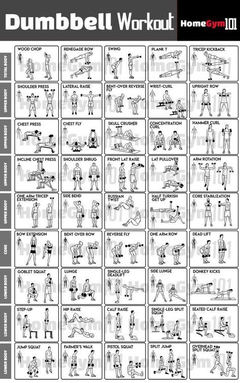 Dumbbell Workout Plan, Concentration Curls, Tricep Kickback, Hip Raises, Chest Fly, Bell Work, Workout Stuff, Side Lunges, Russian Twist