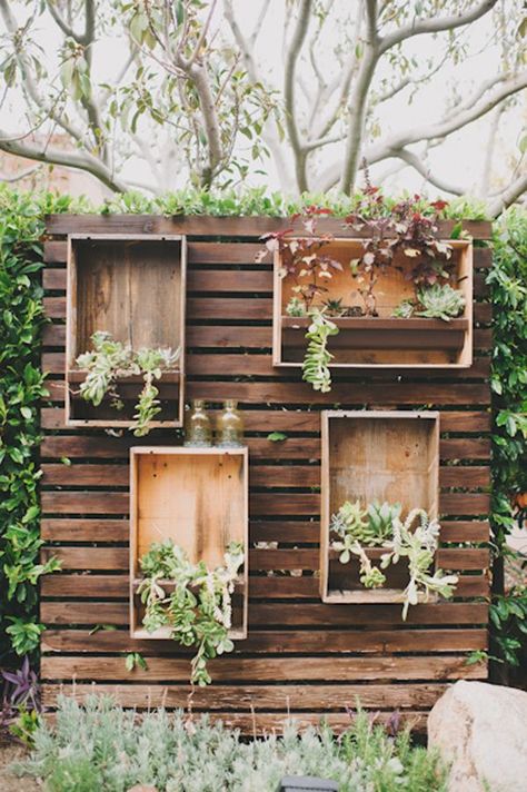 plants in boxes! // photo by Heidi Ryder Guerrilla Gardening, Wedding Plants, Plants Growing, Vertical Gardens, Walled Garden, Gorgeous Gardens, Garden Fence, Vertical Garden, Dream Garden