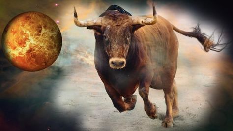 Seven Reasons Why a Taurus Will Be the Love of Your Life | HoroscopeFan Taurus April, 11 December, 17 December, Horoscope Reading, Weekly Horoscope, 4 December, 12 November, 1 April, Another Love