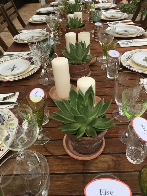 Agave Theme Party, Table Setting Etiquette, Cactus Centerpiece, Cowboy Themed Birthday Party, Candlelit Wedding, Backyard Birthday Parties, Green Centerpieces, Plant Party, Backyard Birthday