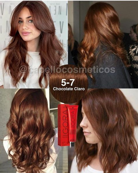 Igora Hair Color, Braid Hairstyles Ideas, Chocolate Brown Hair Color Ideas, Hair Color Swatches, Brown Hair Color Ideas, Chocolate Brown Hair Color, Brown Hair Looks, Side Braid Hairstyles, Brown Hair Inspo