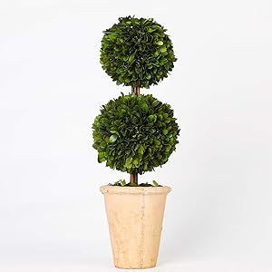 Mossy Stone, Preserved Boxwood Topiary, Ball Topiary, Stone Planter, Orchid Leaves, Preserved Boxwood, Topiary Plants, Artificial Topiary, Planter Indoor