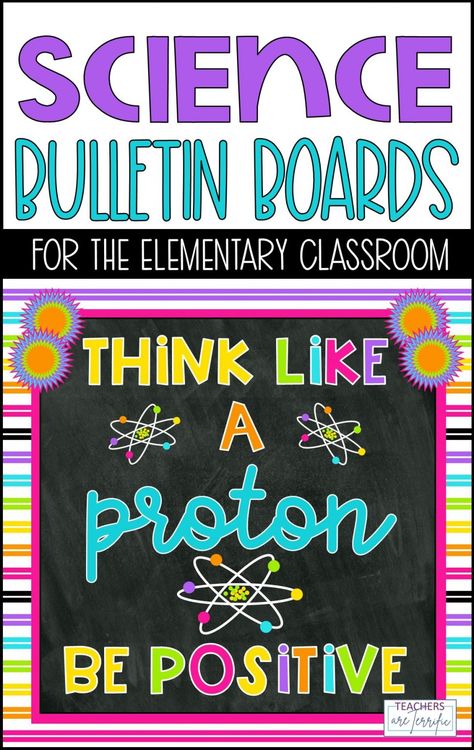 Science Class Bulletin Boards, Scientist Bulletin Board, Chemistry Bulletin Boards, Stem Bulletin Boards, Science Bulletin Board, High School Bulletin Boards, Science Display, Science Bulletin Boards, Sixth Grade Science