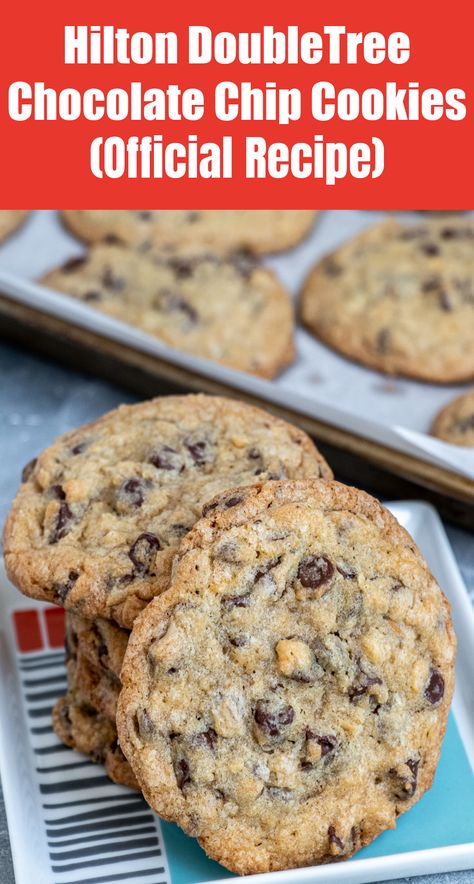 Hilton DoubleTree Chocolate Chip Cookies (The Official Recipe) - Manila Spoon Doubletree Chocolate Chip Cookie Recipe, Doubletree Chocolate Chip Cookies, Doubletree Cookie Recipe, Amazing Cookie Recipes, Mouthwatering Desserts, Cookie Shop, Strawberry Dessert, Frozen Cookies, Choc Chip Cookies