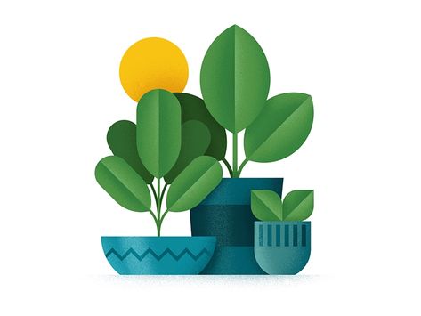 Planters by Gregory Darroll on Dribbble Planter Illustration, Plant Cartoon, Plant Doodle, Indian Art Gallery, Garden Illustration, Plant Vector, Collage Illustration, Simple Illustration, Plant Illustration