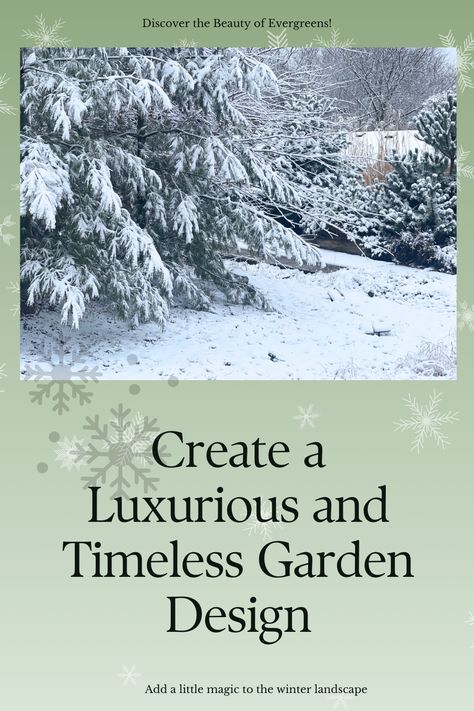 Evergreens are vital to form structure in a garden. Whether they are large such as pines or spruce trees or lower shrubby conifers, they play an important roles in our gardens. Here are some tips on how to use evergreens in our landscapes to provide structure and interest year round, but especially during the winter months when our gardens may lack structure and beauty that they have in summer. Landscape ideas | Evergreens in the winter garden | garden tips | Winter garden ideas Spruce Trees Landscaping Ideas, Evergreen Landscape Front Yard, Creeping Juniper, Winter Garden Ideas, Conifer Garden, Cabin Landscape, Mugo Pine, Small Evergreen Shrubs, Evergreen Landscape