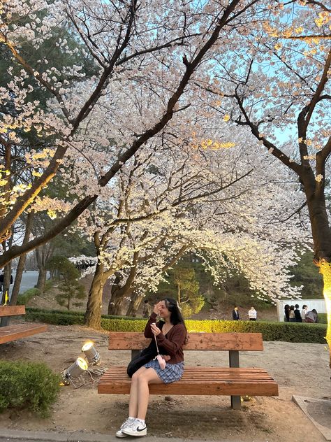 Sakura Outfits Cherry Blossoms, Cherry Blossom Instagram Photos, Study Abroad Aesthetic Korea, Spring In Japan Outfit, Japan Cherry Blossom Outfit, Cherry Blossom Outfit Ideas, Cherry Blossom Korea, Japan Spring Outfit, Spring In Korea