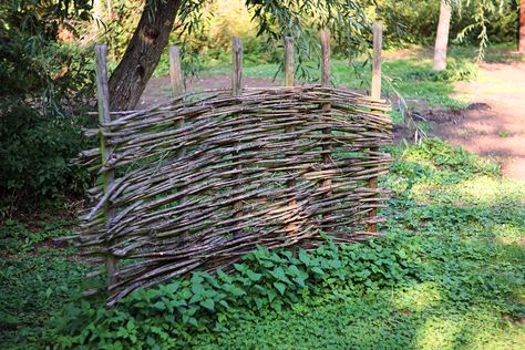 How To Make a Wattle Fence With Branches Rustic Trellis, Wattle Fence, Livestock Fence, Forest Ideas, Fence Planning, Dig Gardens, Backyard Flocks, Diy Tree, Tree Trimming