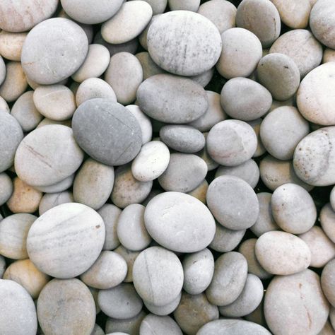 White River Stones for Bamboo Planters in the Reception Area Barrel Fire Pit, Rock Floor, River Pebbles, Modern Fire Pit, River Rock Landscaping, Rock Fireplaces, River Rocks, Pebble Stone, River Stones