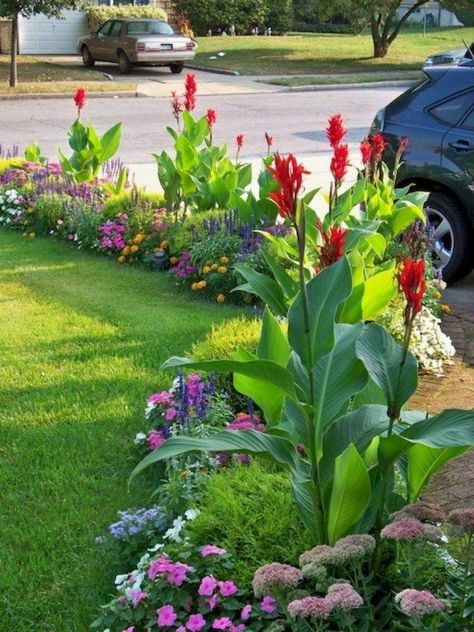 Zuppa Toscana Soup Olive Garden, Front Yards Curb Appeal, Small Garden Landscape, Small Front Yard Landscaping, Small Front Yard, Front Yard Design, Desain Lanskap, Landscape Plans, Front Yard Garden