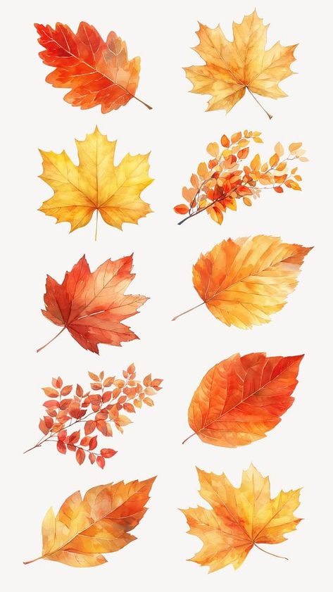 Autumn leaf watercolor set, editable design element | premium image by rawpixel.com / Nunny Leaf Drawing Watercolour, Autumn Watercolour Illustrations, Autumn Foliage Illustration, Autumn Botanical Illustration, Autumn Leaf Watercolor, Autumn Leaf Illustration, Autumn Leaf Drawing, Autumn Leaves Drawing, Autumn Graphic Design