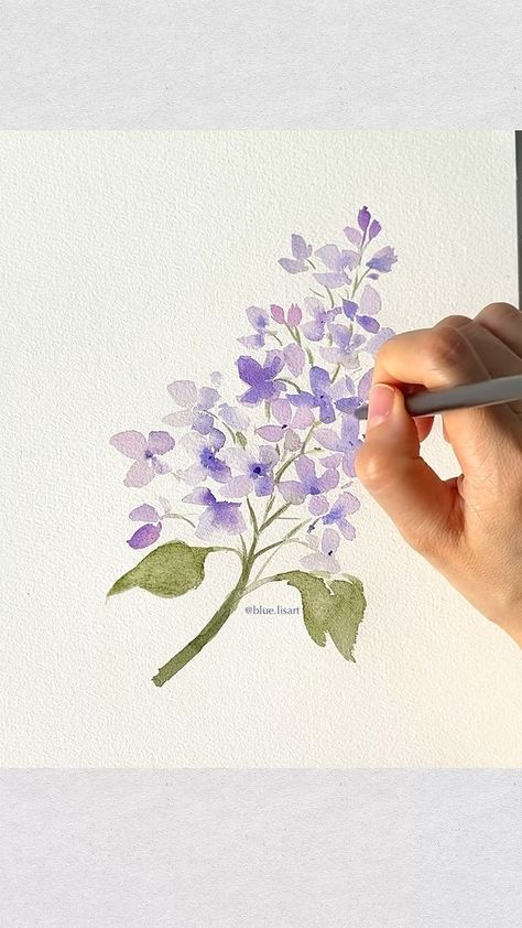 Lisa Lam | Watercolorist | New YT video on Painting Watercolor Lilac💜 Link in bio | Instagram Lilac Painting, Loose Watercolor Flowers, Learn Watercolor Painting, Watercolor Flowers Tutorial, Floral Watercolor Paintings, Learn Watercolor, Watercolor Subjects, Watercolor Sketching And Journaling, Learn How To Paint