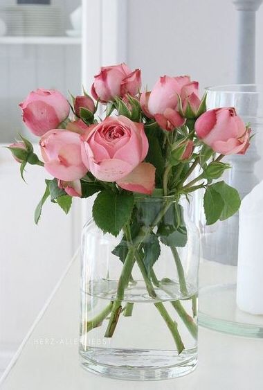 . Pink Rose Arrangements, Gubahan Bunga, Rose Vase, Trendy Flowers, Deco Floral, Rose Cottage, Flower Beauty, Beautiful Blooms, Ikebana