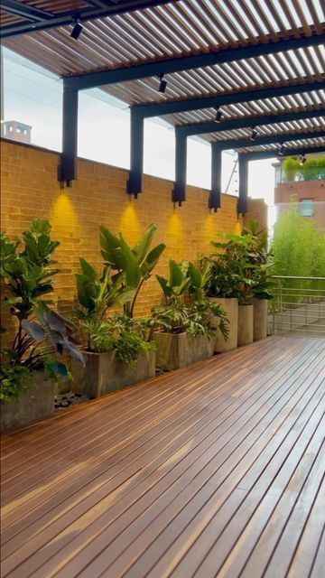 Outdoor Wooden Patio Ideas, Outside Terrace Ideas, Deck Wall Ideas, Patios Ideas Backyard, Terrace Plants, Patio Backyard Ideas, Pergola Deck, Rooftop Patio Design, Terrace Decor