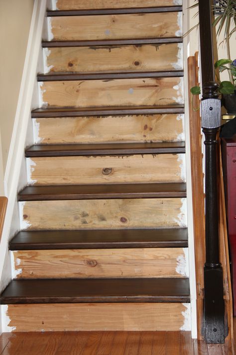 staining the treads Staining Stairs, Pine Stair Treads, Wood Stair Treads, Painted Staircases, Stair Makeover, Diy Staircase, Treads And Risers, Stair Railing Design, Staircase Remodel